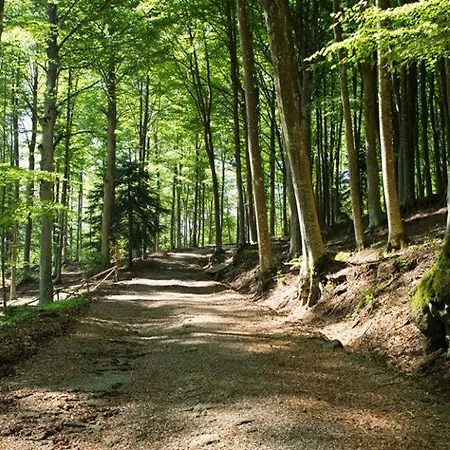 La Casina Delle Viole *